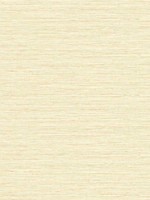 Edmond Faux Sisal Sunkissed Wallpaper WTG-256096 by Dupont Wallpaper for sale at Wallpapers To Go