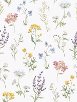 Botanical Multi Coloured Wallpaper WTG-257353 by Galerie Wallpaper for sale at Wallpapers To Go