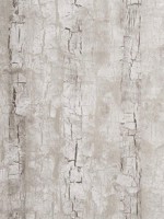 Tree Bark Birch Wallpaper WTG-260114 by Clarke and Clarke Wallpaper for sale at Wallpapers To Go