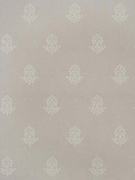 Cow Parsley Marl Wallpaper WTG-260579 by Andrew Martin Wallpaper for sale at Wallpapers To Go