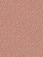 Corallo 06 Red Clay Wallpaper WTG-261234 by Maxwell Wallpaper for sale at Wallpapers To Go