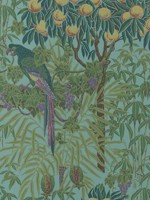 Macaw 04 Teal Wallpaper WTG-261859 by Maxwell Wallpaper for sale at Wallpapers To Go