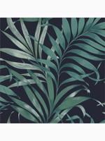 Yasuni Midnight Navy Blue Leaves Tropical Wallpaper WTG-262631 by Graham and Brown Wallpaper for sale at Wallpapers To Go