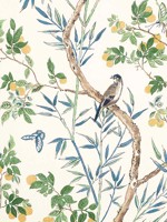 Claire Yellow and Navy Fabric WTG-263711 by Thibaut Fabrics for sale at Wallpapers To Go