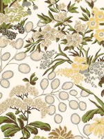 Meadow Green Fabric WTG-263724 by Thibaut Fabrics for sale at Wallpapers To Go