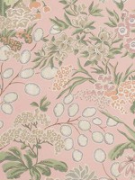 Meadow Blush Fabric WTG-263725 by Thibaut Fabrics for sale at Wallpapers To Go