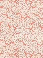 Maldives Coral Fabric WTG-263732 by Thibaut Fabrics for sale at Wallpapers To Go