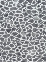 Makena Grey Fabric WTG-265583 by Thibaut Fabrics for sale at Wallpapers To Go