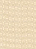 Lindsey Soft Gold Fabric WTG-266773 by Anna French Fabrics for sale at Wallpapers To Go