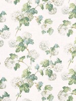 Sussex Hydrangea White and Green Fabric WTG-266798 by Anna French Fabrics for sale at Wallpapers To Go