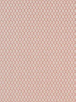 Josephine Persimmon Fabric WTG-266827 by Thibaut Fabrics for sale at Wallpapers To Go