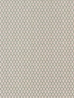 Josephine Willow Fabric WTG-266834 by Thibaut Fabrics for sale at Wallpapers To Go