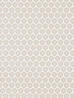 Genie Bisque Fabric WTG-266854 by Thibaut Fabrics for sale at Wallpapers To Go