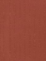 Regia Paprika Fabric WTG-268326 by Anna French Fabrics for sale at Wallpapers To Go