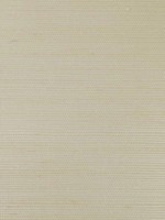 Rafia Plain Beige Wallpaper WTG-269985 by Armani Casa Wallpaper for sale at Wallpapers To Go