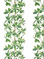 Mangrove Tree Green and White Fabric WTG-271337 by Thibaut Fabrics for sale at Wallpapers To Go