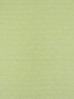 Calista Kiwi Fabric WTG-271950 by Thibaut Fabrics for sale at Wallpapers To Go