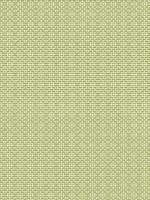 Bistro Kiwi Fabric WTG-271961 by Thibaut Fabrics for sale at Wallpapers To Go