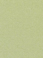 Castaway Kiwi Fabric WTG-272000 by Thibaut Fabrics for sale at Wallpapers To Go