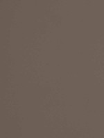 Mirasol Velvet Café Fabric WTG-272014 by Thibaut Fabrics for sale at Wallpapers To Go