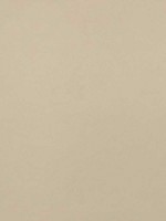 Cordoba Sand Fabric WTG-274635 by Thibaut Fabrics for sale at Wallpapers To Go