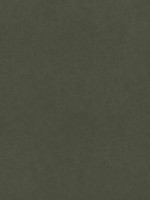 Cordoba Olive Fabric WTG-274640 by Thibaut Fabrics for sale at Wallpapers To Go