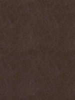 Cordoba Coffee Fabric WTG-274641 by Thibaut Fabrics for sale at Wallpapers To Go