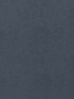 Cordoba Midnight Fabric WTG-274643 by Thibaut Fabrics for sale at Wallpapers To Go