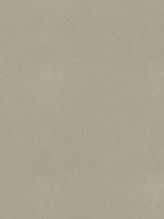 Cordoba Stone Fabric WTG-274645 by Thibaut Fabrics for sale at Wallpapers To Go