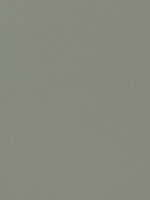 Salta Jade Fabric WTG-274660 by Thibaut Fabrics for sale at Wallpapers To Go