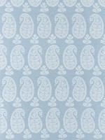 Campainia Paisley Robins Egg Fabric WTG-274717 by Anna French Fabrics for sale at Wallpapers To Go