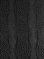 Crocodile Jet Wallpaper 5005834 by Schumacher Wallpaper for sale at Wallpapers To Go
