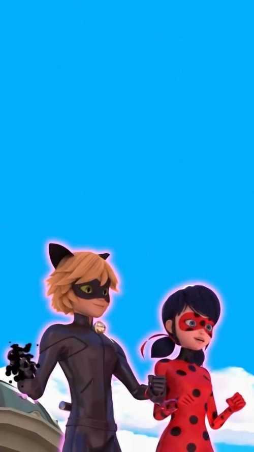 Cat Noir HD Wallpaper - IXpaper