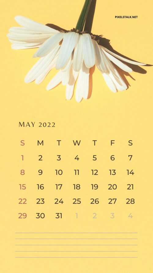 May Wallpaper 2022 - IXpaper