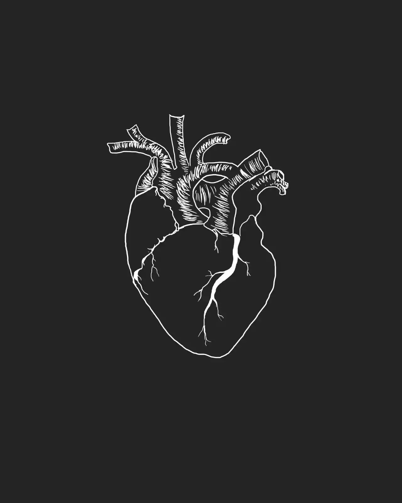 Heart Anatomy Wallpaper - IXpaper