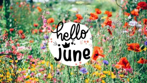 Hello June Wallpaper - IXpaper