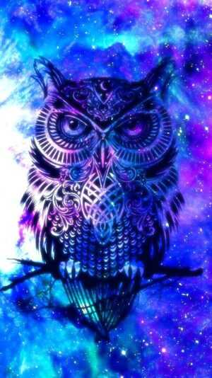 Background OWL Wallpaper